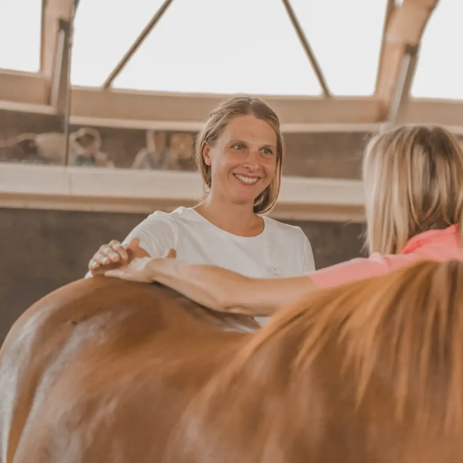 VPO Perdeosteopathie Selina Haende Pferdekopf