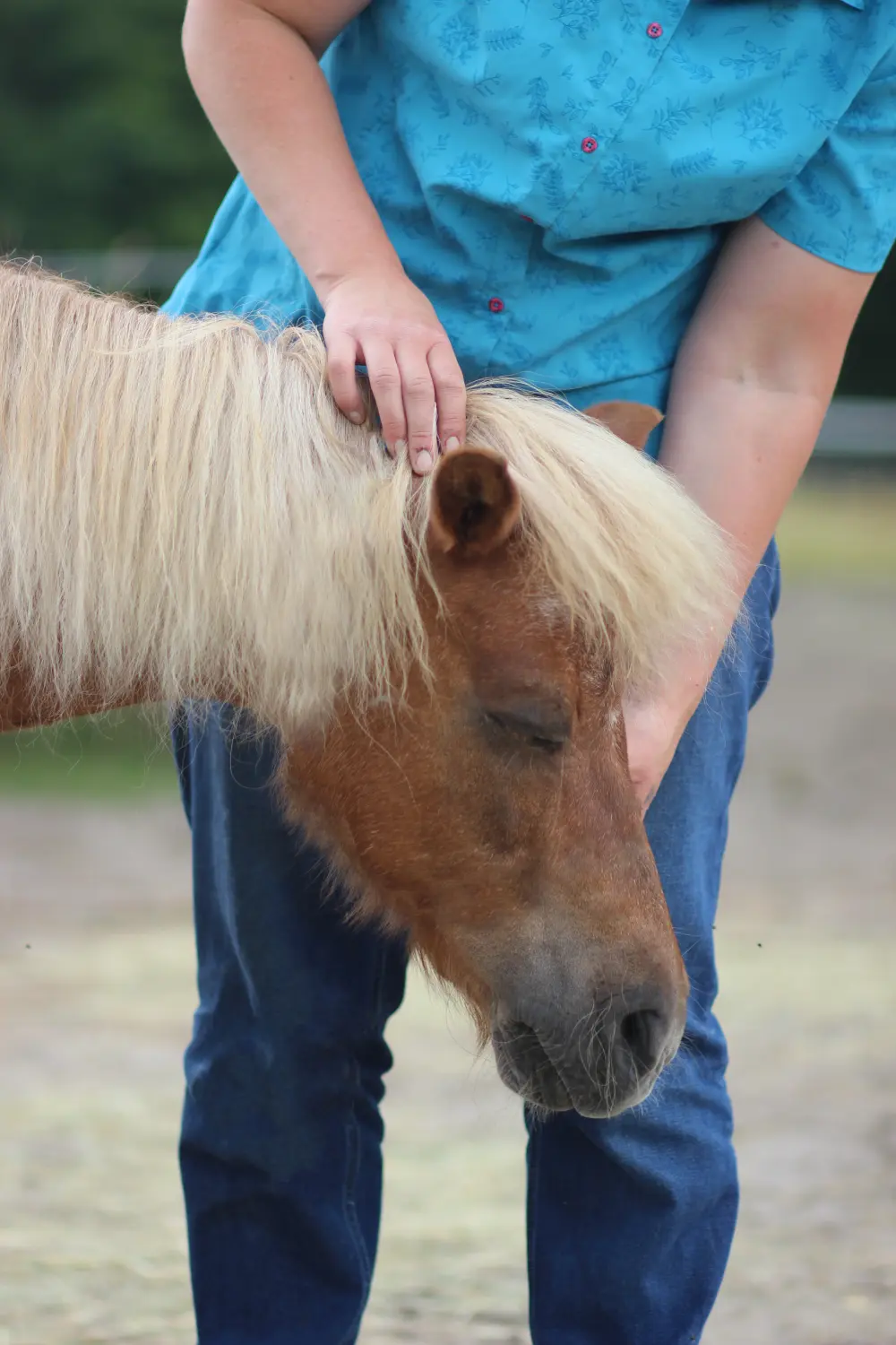 Vicky Hollerbaum mit Pferd von Visionäre Pferdeosteopathie