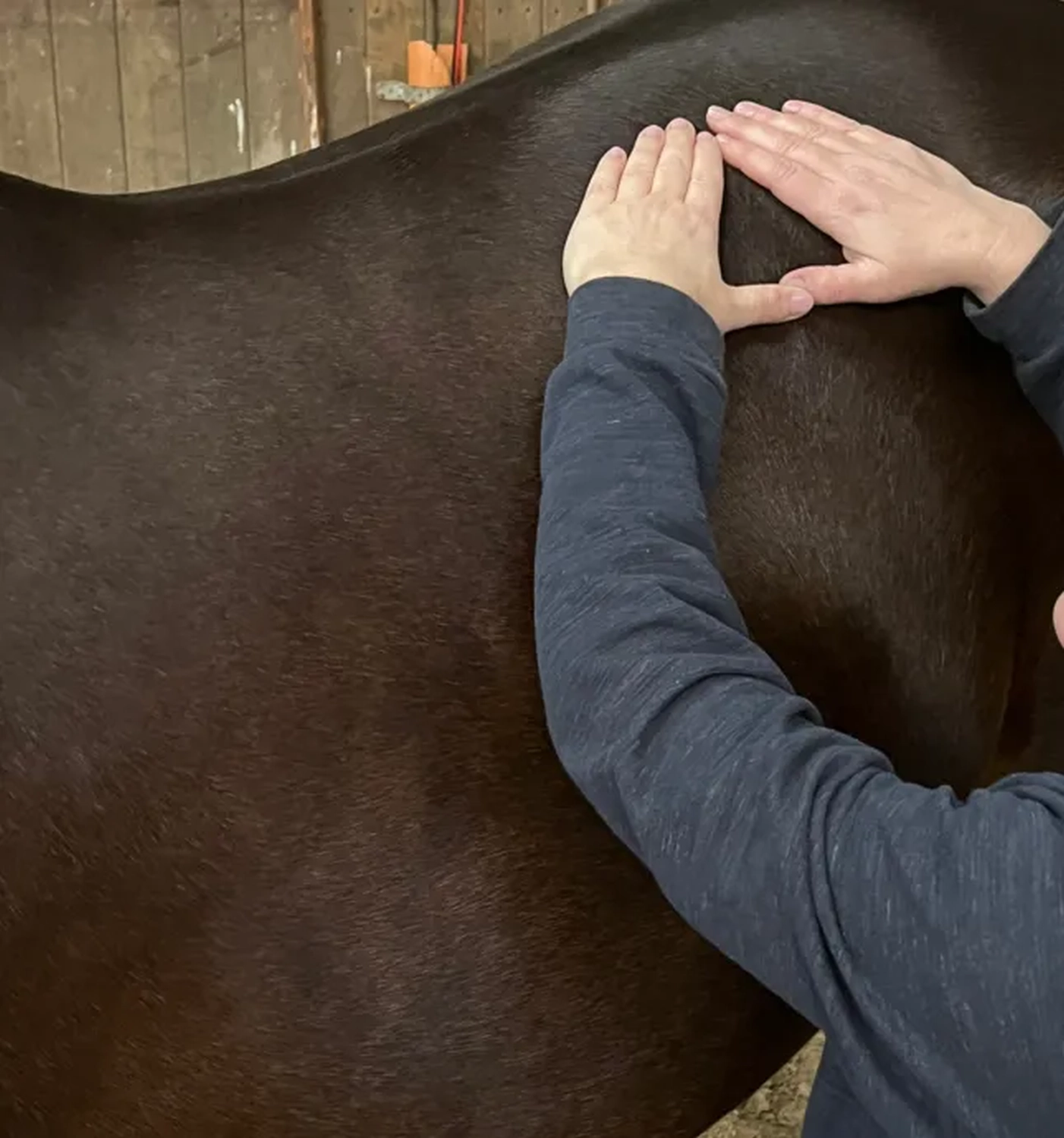 Maya Gaede mit Pferd von Visionäre Pferdeosteopathie