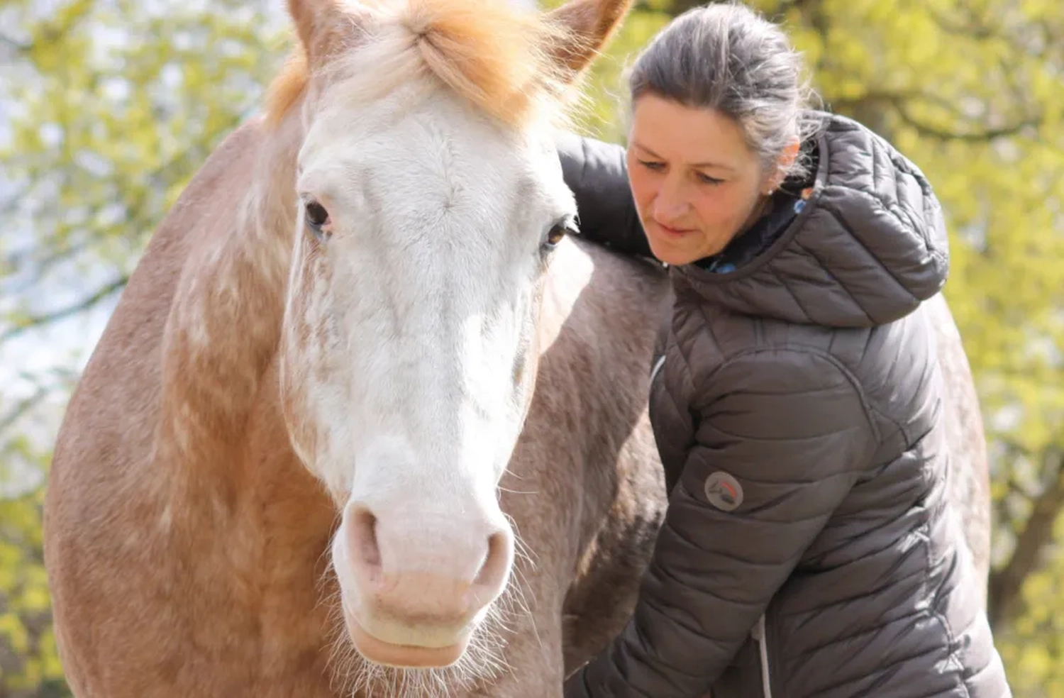 Julia Dach mit Pferd von Visionäre Pferdeosteopathie