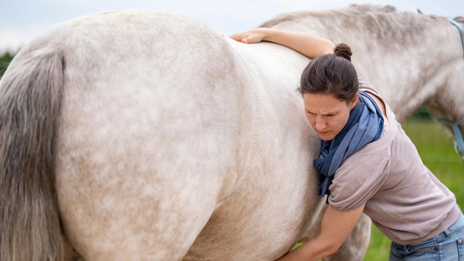 Britta Gossow mit Pferd von Visionäre Pferdeosteopathie