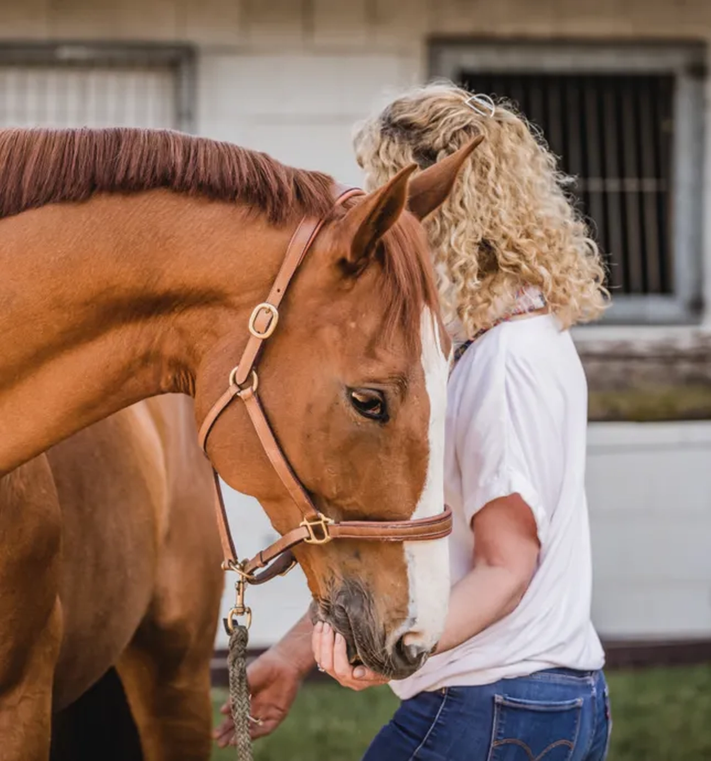 Wiebke Müller mit Pferd von Visionäre Pferdeosteopathie