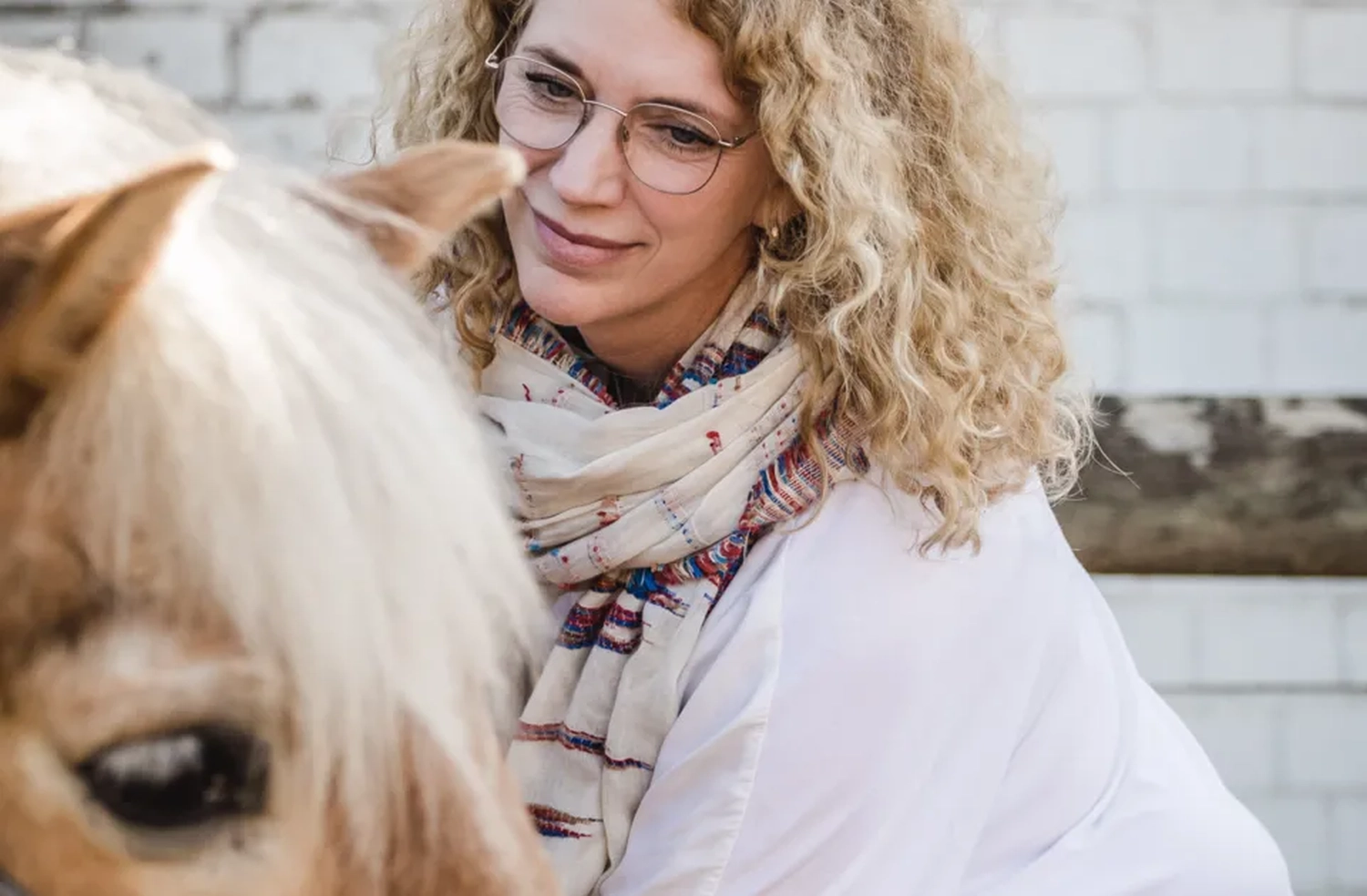 Wiebke Müller mit Pferd von Visionäre Pferdeosteopathie