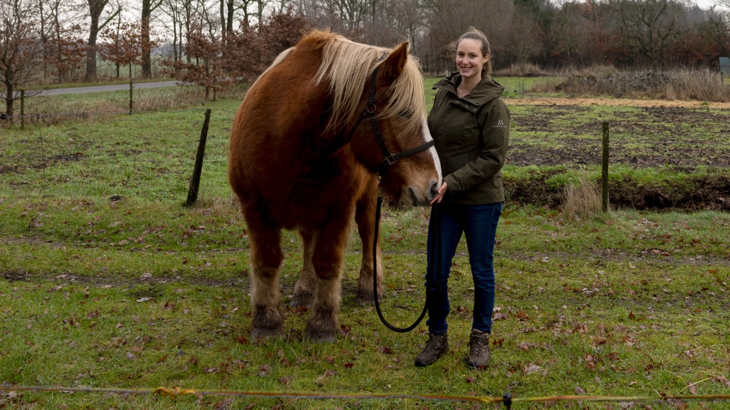 Leonie Johannink mit Pferd von Visionäre Pferdeosteopathie